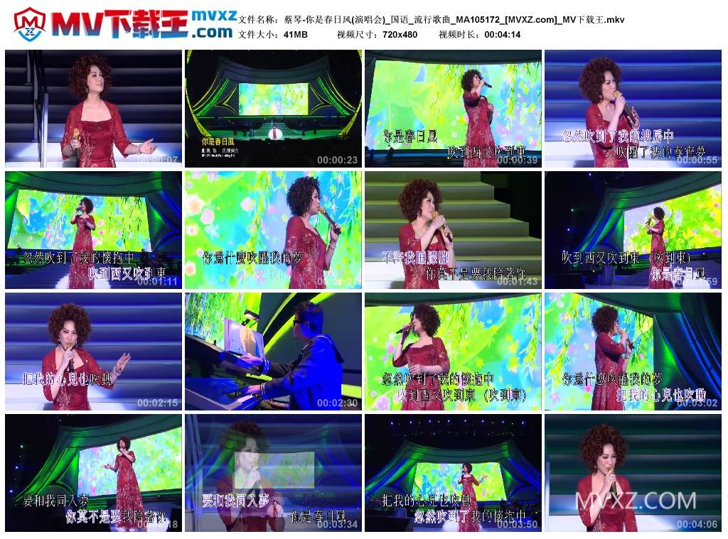 蔡琴-你是春日风(演唱会)_国语_流行歌曲_MA105172